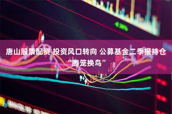 唐山股票配资 投资风口转向 公募基金二季报持仓“腾笼换鸟”