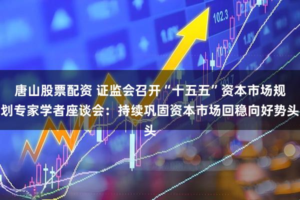唐山股票配资 证监会召开“十五五”资本市场规划专家学者座谈会：持续巩固资本市场回稳向好势头