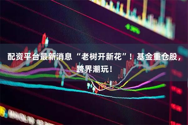配资平台最新消息 “老树开新花”！基金重仓股，跨界潮玩！