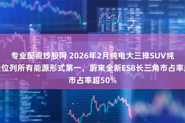 专业配资炒股网 2026年2月纯电大三排SUV纯电销量位列所有能源形式第一，蔚来全新ES8长三角市占率超50%