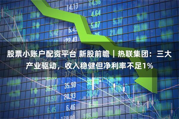 股票小账户配资平台 新股前瞻｜热联集团：三大产业驱动，收入稳健但净利率不足1%